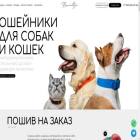 Скриншот главной страницы сайта osheiniki.brusnitcyn.ru