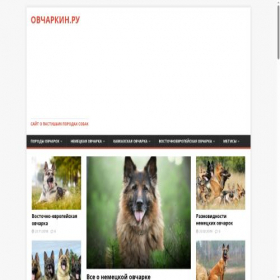 Скриншот главной страницы сайта ov4arkin.ru