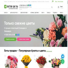 Скриншот главной страницы сайта ozeri.dostavka-cvetov24.ru