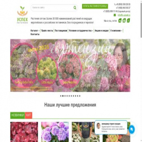 Скриншот главной страницы сайта p-uspeh.ru
