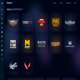 Скриншот главной страницы сайта pabg.skin