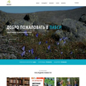 Скриншот главной страницы сайта pabgi.ru