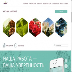 Скриншот главной страницы сайта paer.ru