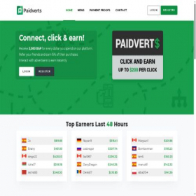 Скриншот главной страницы сайта paidverts.io