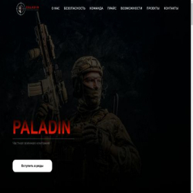 Скриншот главной страницы сайта paladinkrite.com