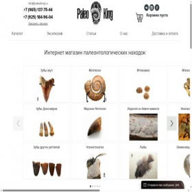 Скриншот главной страницы сайта paleoking.ru