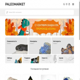 Скриншот главной страницы сайта paleomarket.ru