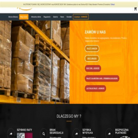 Скриншот главной страницы сайта paletyamazon.com