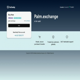 Скриншот главной страницы сайта palm.exchange