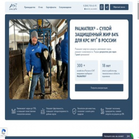 Скриншот главной страницы сайта palmatrix.ru