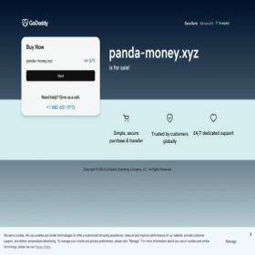 Скриншот главной страницы сайта panda-money.xyz
