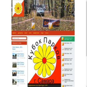 Скриншот главной страницы сайта parkcup.ru