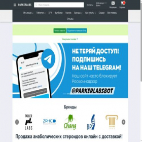 Скриншот главной страницы сайта parkerlabs.cc