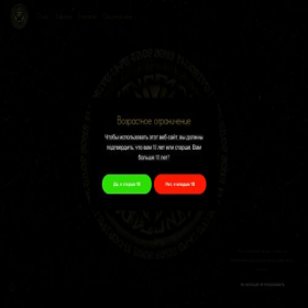 Скриншот главной страницы сайта parkingnf.ru