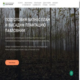 Скриншот главной страницы сайта paulowniaplantation.ru