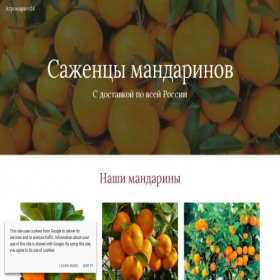 Скриншот главной страницы сайта pavlo-market.ru