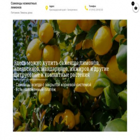 Скриншот главной страницы сайта pavlovo-garden.ru