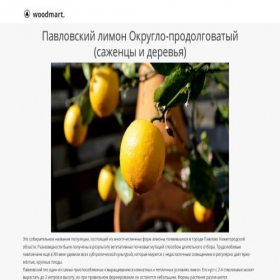 Скриншот главной страницы сайта pavlovo-limon.creatium.site