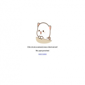 Скриншот главной страницы сайта pay.cat