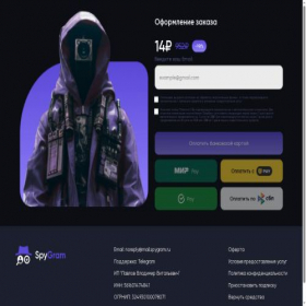 Скриншот главной страницы сайта pay.spygram.ru