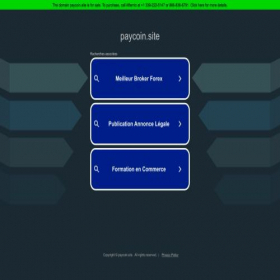 Скриншот главной страницы сайта paycoin.site