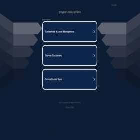 Скриншот главной страницы сайта payeer-coin.online