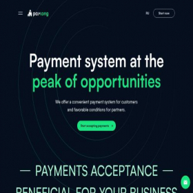 Скриншот главной страницы сайта paykong.io