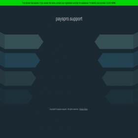 Скриншот главной страницы сайта payspro.support
