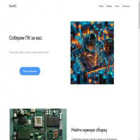 Скриншот главной страницы сайта pc-solution.tilda.ws