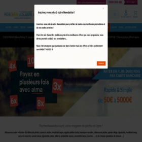 Скриншот главной страницы сайта pechechassediscount.com