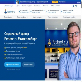 Скриншот главной страницы сайта pedant-ekaterinburg.ru