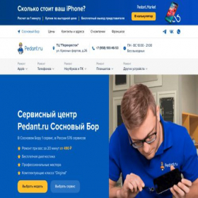 Скриншот главной страницы сайта pedant-sosnovy-bor.ru