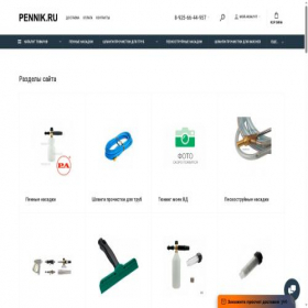 Скриншот главной страницы сайта pennik.ru