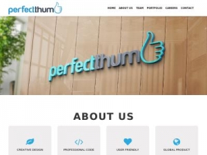 Скриншот главной страницы сайта perfectthumb.com
