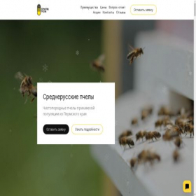 Скриншот главной страницы сайта perm-bees.ru