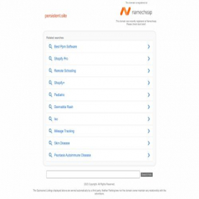 Скриншот главной страницы сайта persistent.site