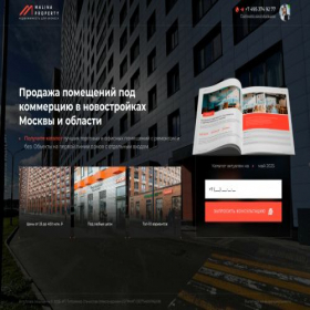 Скриншот главной страницы сайта personal-adviser.ru