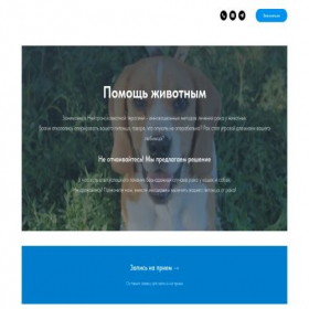Скриншот главной страницы сайта petnice.ru