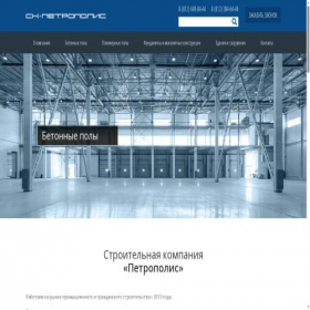 Скриншот главной страницы сайта petro-polis.ru