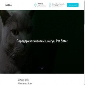 Скриншот главной страницы сайта petsitter.kz