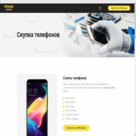 Скриншот главной страницы сайта phonesbayer.ru