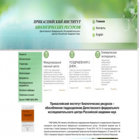 Скриншот главной страницы сайта pibr-dsc-ras.ru