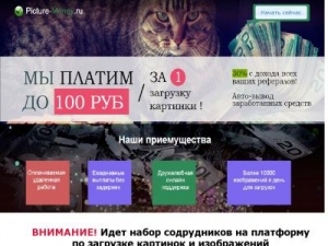 Скриншот главной страницы сайта picture-money.ru