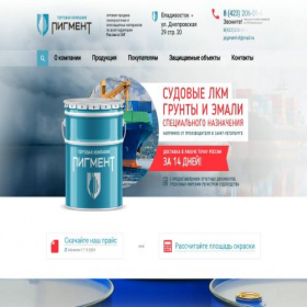 Скриншот главной страницы сайта pigment-vl.ru