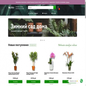 Скриншот главной страницы сайта pilea.ru
