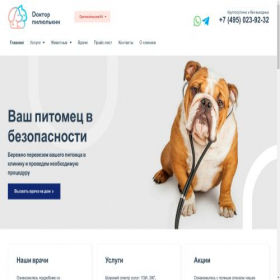 Скриншот главной страницы сайта pill.vet