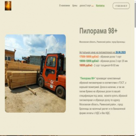 Скриншот главной страницы сайта pilorama98.com