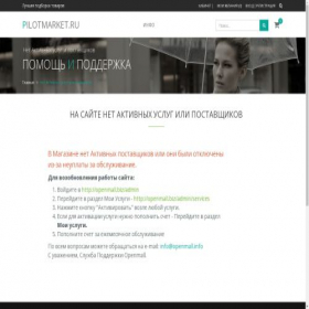 Скриншот главной страницы сайта pilotmarketrus.ru