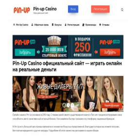 Скриншот главной страницы сайта pinapi.ru