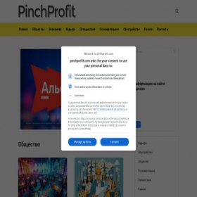 Скриншот главной страницы сайта pinchprofit.com